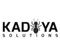 KADIYA IT SOLUTIONS